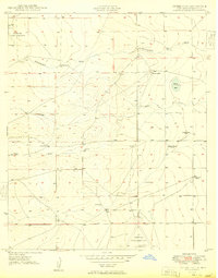 Download a high-resolution, GPS-compatible USGS topo map for Peters Lake, NM (1949 edition)