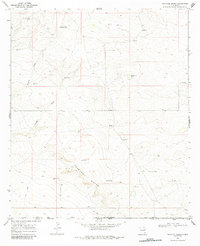 Download a high-resolution, GPS-compatible USGS topo map for Phantom Banks, NM (1984 edition)