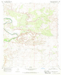Download a high-resolution, GPS-compatible USGS topo map for Pierce Canyon, NM (1971 edition)