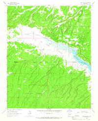 Download a high-resolution, GPS-compatible USGS topo map for Pine Canyon, NM (1966 edition)