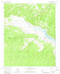Download a high-resolution, GPS-compatible USGS topo map for Pine Canyon, NM (1981 edition)