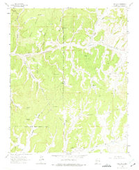 Download a high-resolution, GPS-compatible USGS topo map for Pine Lake, NM (1975 edition)