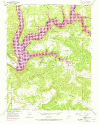 Download a high-resolution, GPS-compatible USGS topo map for Pine River, NM (1973 edition)