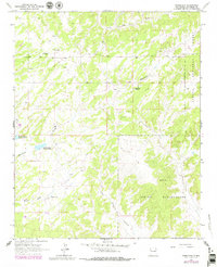 Download a high-resolution, GPS-compatible USGS topo map for Pinehaven, NM (1979 edition)