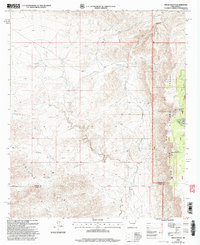 Download a high-resolution, GPS-compatible USGS topo map for Pinon Ranch, NM (2003 edition)