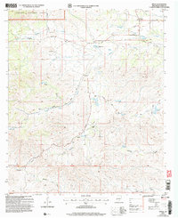 Download a high-resolution, GPS-compatible USGS topo map for Pinon, NM (2006 edition)