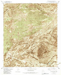 Download a high-resolution, GPS-compatible USGS topo map for Pipeline Canyon, NM (1982 edition)