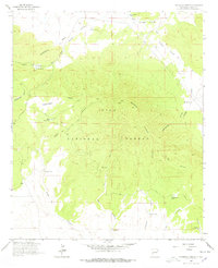 Download a high-resolution, GPS-compatible USGS topo map for Pitchfork Canyon, NM (1978 edition)