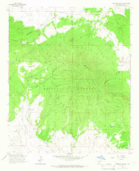Download a high-resolution, GPS-compatible USGS topo map for Pitchfork Canyon, NM (1966 edition)
