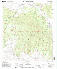 Download a high-resolution, GPS-compatible USGS topo map for Pitchfork Canyon, NM (2002 edition)