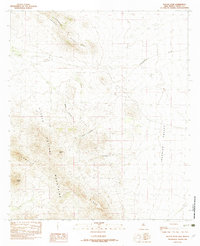 Download a high-resolution, GPS-compatible USGS topo map for Playas Peak, NM (1982 edition)