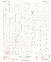Download a high-resolution, GPS-compatible USGS topo map for Pleasure Lake, NM (1985 edition)
