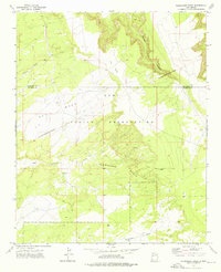 Download a high-resolution, GPS-compatible USGS topo map for Plumasano Basin, NM (1976 edition)