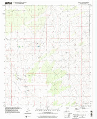 Download a high-resolution, GPS-compatible USGS topo map for Polecat Tank, NM (2002 edition)