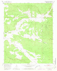 Download a high-resolution, GPS-compatible USGS topo map for Post Office Flat, NM (1981 edition)