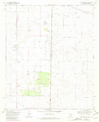 Download a high-resolution, GPS-compatible USGS topo map for Prairieview NE, NM (1981 edition)