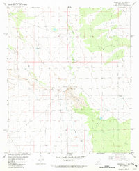 Download a high-resolution, GPS-compatible USGS topo map for Prisor Hill, NM (1981 edition)