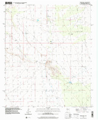 Download a high-resolution, GPS-compatible USGS topo map for Prisor Hill, NM (2002 edition)