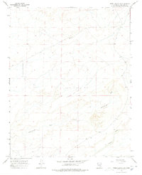 Download a high-resolution, GPS-compatible USGS topo map for Pueblo Bonito NW, NM (1978 edition)
