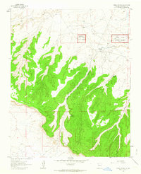 Download a high-resolution, GPS-compatible USGS topo map for Pueblo Pintado, NM (1964 edition)