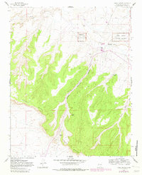 Download a high-resolution, GPS-compatible USGS topo map for Pueblo Pintado, NM (1982 edition)