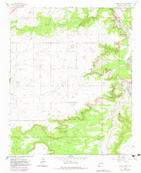 Download a high-resolution, GPS-compatible USGS topo map for Puerto Creek, NM (1983 edition)