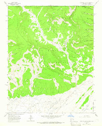 Download a high-resolution, GPS-compatible USGS topo map for Purgatory Canyon, NM (1966 edition)