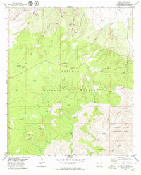 Download a high-resolution, GPS-compatible USGS topo map for Queen, NM (1979 edition)