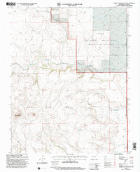 Download a high-resolution, GPS-compatible USGS topo map for Rabbit Ear Mountain, NM (2001 edition)