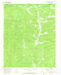 Download a high-resolution, GPS-compatible USGS topo map for Rancho Del Chaparral, NM (1973 edition)