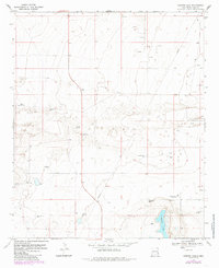 Download a high-resolution, GPS-compatible USGS topo map for Ranger Lake, NM (1985 edition)