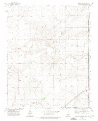 Download a high-resolution, GPS-compatible USGS topo map for Rardin Hill, NM (1975 edition)