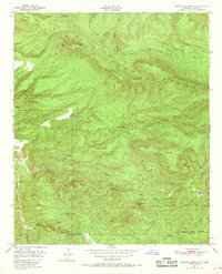 Download a high-resolution, GPS-compatible USGS topo map for Reading Mountain, NM (1969 edition)
