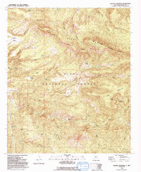 Download a high-resolution, GPS-compatible USGS topo map for Reading Mountain, NM (1992 edition)