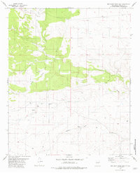 Download a high-resolution, GPS-compatible USGS topo map for Red Bluff Draw East, NM (1981 edition)