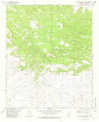 Download a high-resolution, GPS-compatible USGS topo map for Red Bluff Draw West, NM (1981 edition)