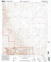 Download a high-resolution, GPS-compatible USGS topo map for Red Bluff Draw, NM (2003 edition)
