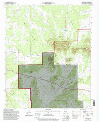 Download a high-resolution, GPS-compatible USGS topo map for Red Flats, NM (1998 edition)