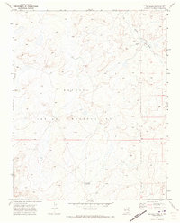 Download a high-resolution, GPS-compatible USGS topo map for Red Lake Well, NM (1973 edition)