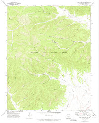 Download a high-resolution, GPS-compatible USGS topo map for Red River Peak, NM (1974 edition)