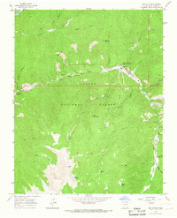 Download a high-resolution, GPS-compatible USGS topo map for Red River, NM (1967 edition)