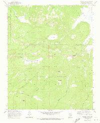 Download a high-resolution, GPS-compatible USGS topo map for Redondo Peak, NM (1973 edition)