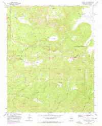 Download a high-resolution, GPS-compatible USGS topo map for Redondo Peak, NM (1978 edition)