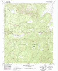 Download a high-resolution, GPS-compatible USGS topo map for Redondo Peak, NM (1986 edition)
