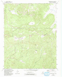Download a high-resolution, GPS-compatible USGS topo map for Redondo Peak, NM (1993 edition)