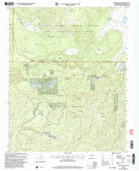 Download a high-resolution, GPS-compatible USGS topo map for Redondo Peak, NM (2003 edition)