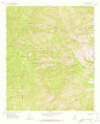 Download a high-resolution, GPS-compatible USGS topo map for Reeds Peak, NM (1973 edition)