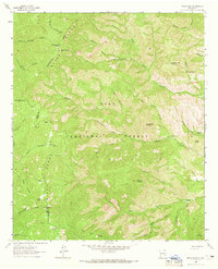 Download a high-resolution, GPS-compatible USGS topo map for Reeds Peak, NM (1965 edition)