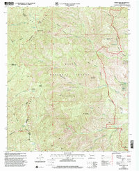 Download a high-resolution, GPS-compatible USGS topo map for Reeds Peak, NM (2002 edition)