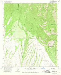 Download a high-resolution, GPS-compatible USGS topo map for Rice Ranch, NM (1969 edition)